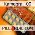 Kamagra 100 42